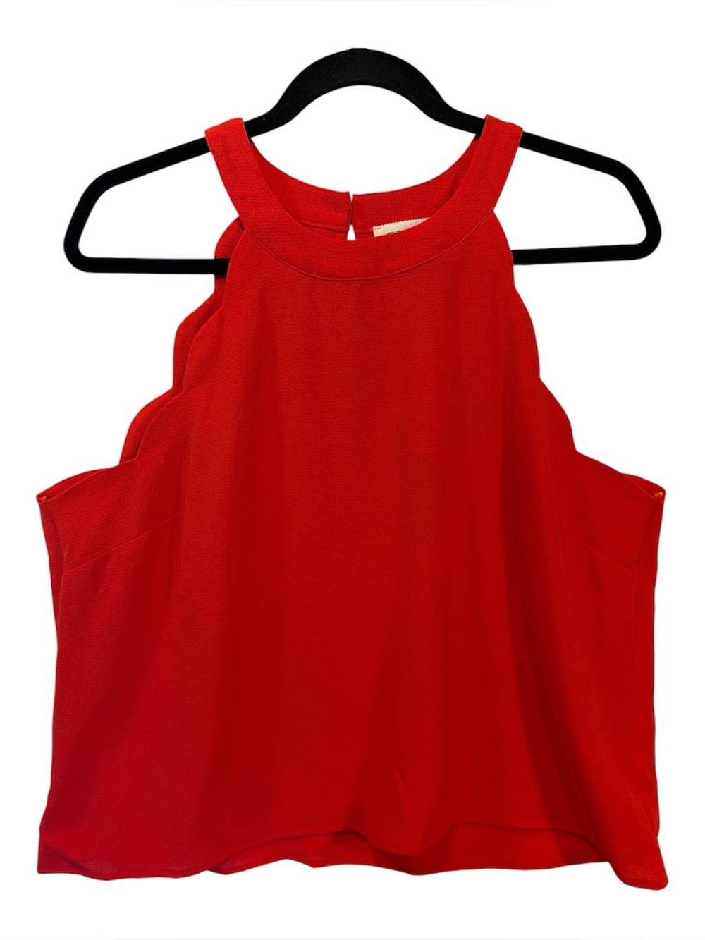 NWT Scalloped Sleeve Top. Size XL